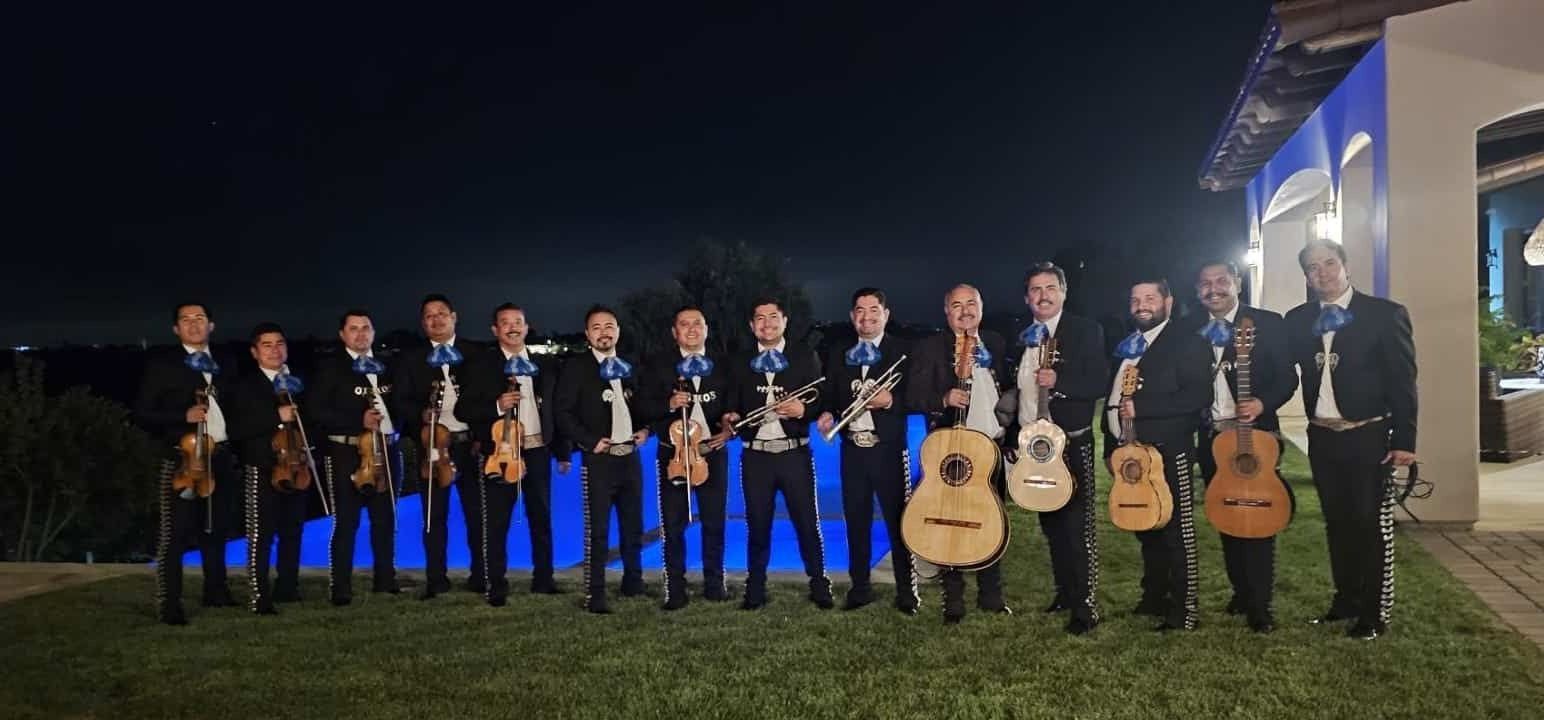 sld12